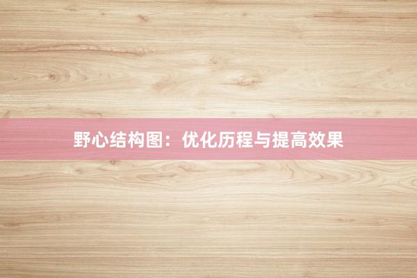 野心结构图：优化历程与提高效果